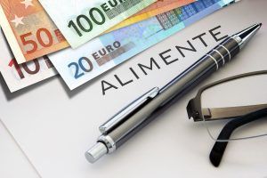 La Guarda Conjunta y La Pensión De Alimentos.